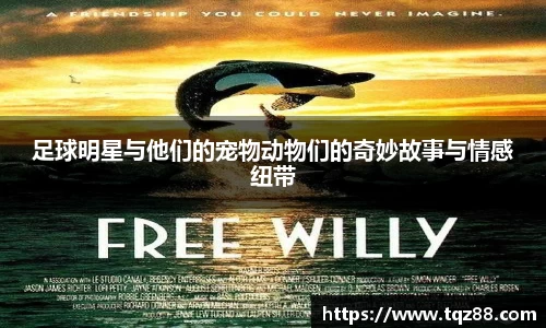 足球明星与他们的宠物动物们的奇妙故事与情感纽带