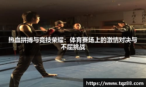 热血拼搏与竞技荣耀：体育赛场上的激情对决与不屈挑战